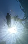 青の洞窟専門店　沖縄ダイビングショップ和に投稿された画像（2026/7/5）