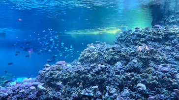 葛西臨海水族園に投稿された画像（2026/7/4）