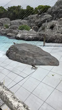 葛西臨海水族園に投稿された画像（2026/7/4）