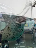 京都水族館に投稿された画像（2026/7/5）