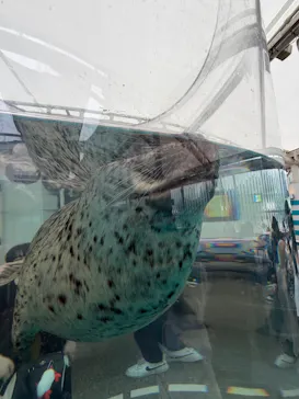 京都水族館に投稿された画像（2026/7/4）