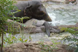 名古屋市東山動植物園に投稿された画像（2026/7/5）