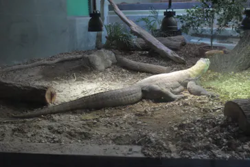 名古屋市東山動植物園に投稿された画像（2026/7/4）