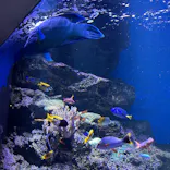 仙台うみの杜水族館に投稿された画像（2026/7/5）