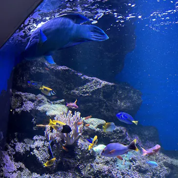 仙台うみの杜水族館に投稿された画像（2026/7/4）