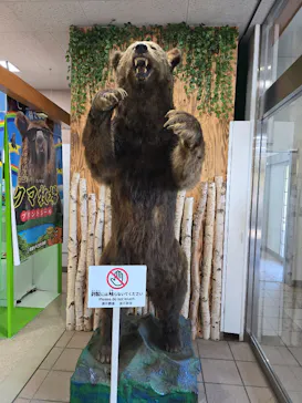 のぼりべつクマ牧場に投稿された画像（2026/7/5）
