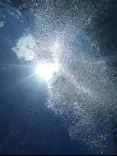 武藤潜水に投稿された画像（2026/7/5）
