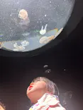 サンシャイン水族館に投稿された画像（2026/7/5）