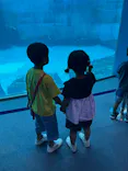 名古屋港水族館に投稿された画像（2026/7/5）