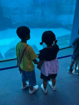 名古屋港水族館に投稿された画像（2026/7/5）