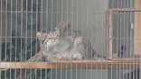 名古屋市東山動植物園に投稿された画像（2026/7/5）