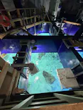 サンシャイン水族館に投稿された画像（2026/7/5）