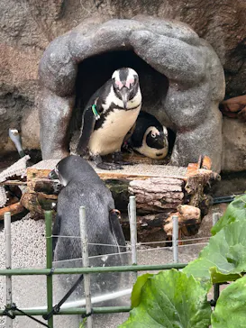 サンシャイン水族館に投稿された画像（2026/7/5）
