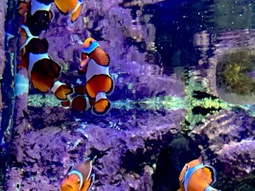 サンシャイン水族館に投稿された画像（2026/7/5）