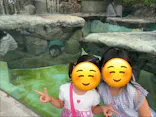 恩賜上野動物園に投稿された画像（2026/7/5）