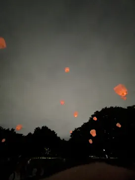 大泉緑地サンクスランタンに投稿された画像（2026/7/5）