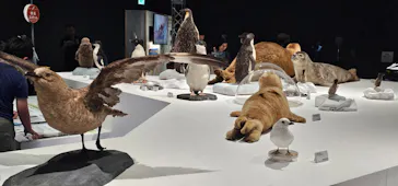 大南極展に投稿された画像（2026/7/5）