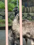 多摩動物公園に投稿された画像（2026/7/5）