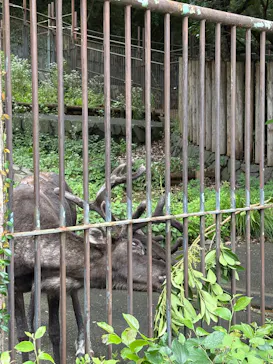 多摩動物公園に投稿された画像（2026/7/5）