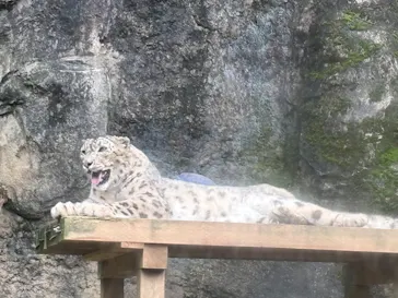 多摩動物公園に投稿された画像（2026/7/5）