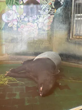 多摩動物公園に投稿された画像（2026/7/5）