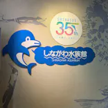 しながわ水族館に投稿された画像（2026/7/5）