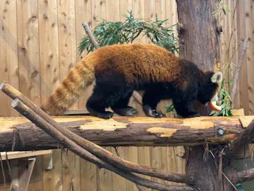 伊豆シャボテン動物公園に投稿された画像（2026/7/5）