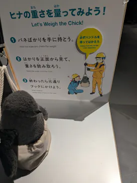 大南極展に投稿された画像（2026/7/5）