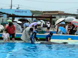 南知多ビーチランド＆南知多おもちゃ王国に投稿された画像（2026/7/5）