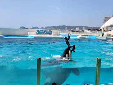 鴨川シーワールドに投稿された画像（2026/7/5）