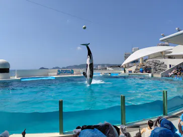 鴨川シーワールドに投稿された画像（2026/7/5）