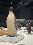 大南極展に投稿された画像（2026/7/5）