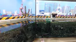 しながわ水族館に投稿された画像（2026/7/5）