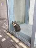 尾道市立美術館に投稿された画像（2026/7/5）