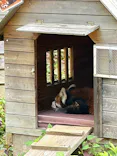 千葉市動物公園に投稿された画像（2026/7/5）
