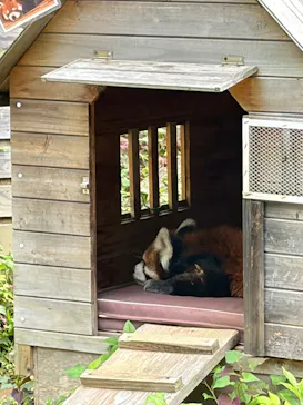 千葉市動物公園に投稿された画像（2026/7/5）
