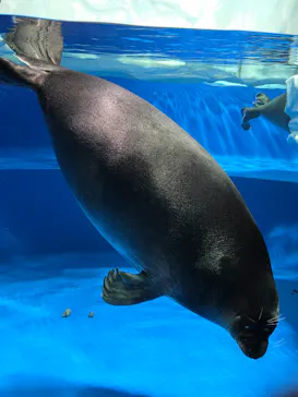 サンシャイン水族館に投稿された画像（2026/7/5）