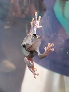 京都水族館に投稿された画像（2026/7/5）