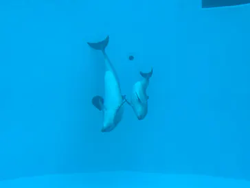 名古屋港水族館に投稿された画像（2026/7/5）
