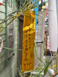 西武園ゆうえんちに投稿された画像（2026/7/5）