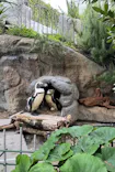 サンシャイン水族館に投稿された画像（2026/7/5）
