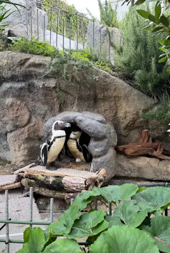 サンシャイン水族館に投稿された画像（2026/7/5）