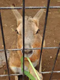 伊豆シャボテン動物公園に投稿された画像（2026/7/5）