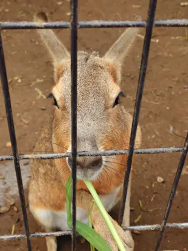 伊豆シャボテン動物公園に投稿された画像（2026/7/5）