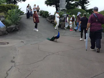 伊豆シャボテン動物公園に投稿された画像（2026/7/5）