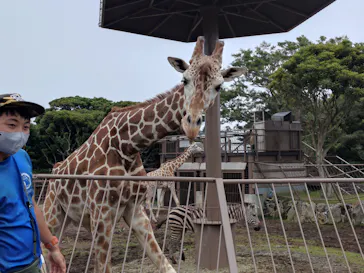 伊豆シャボテン動物公園に投稿された画像（2026/7/5）