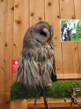 伊豆シャボテン動物公園に投稿された画像（2026/7/5）