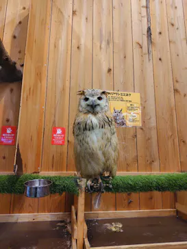 伊豆シャボテン動物公園に投稿された画像（2026/7/5）