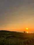 芝政ワールドに投稿された画像（2026/7/6）
