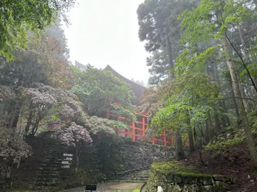 延暦寺に投稿された画像（2026/7/5）
